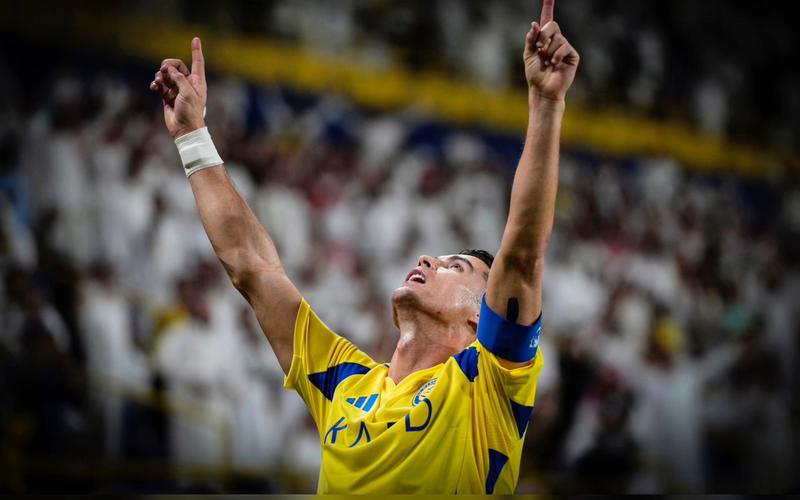 黑豹站群破解版下载