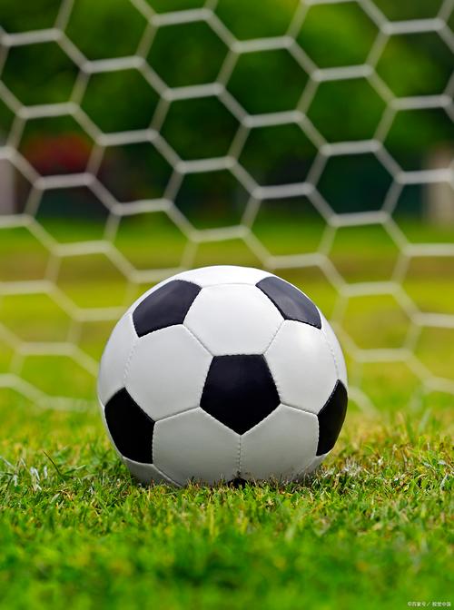 站群关键词排名